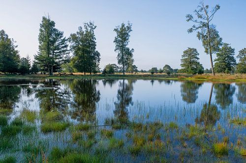 Helder blauw van Ilma Fotografie