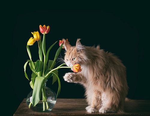 Wodan en zijn tulpen