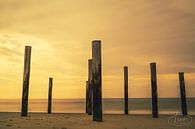 The glory of the evening sun by Tina Linssen thumbnail