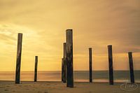 The glory of the evening sun