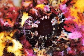 UNDER WATER ART - EYES