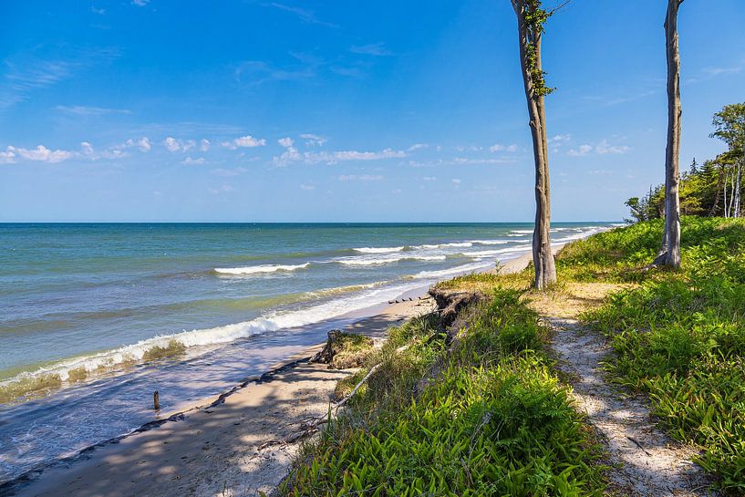 Strand an der Ostseeküste bei Rosenort in der Rostocker Heide von Rico Ködder