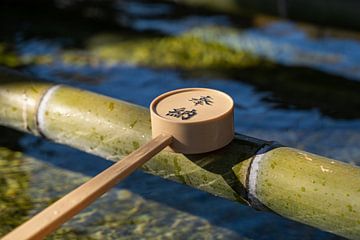 Japanse traditie om handen te wassen bij de tempel van LyanneArt