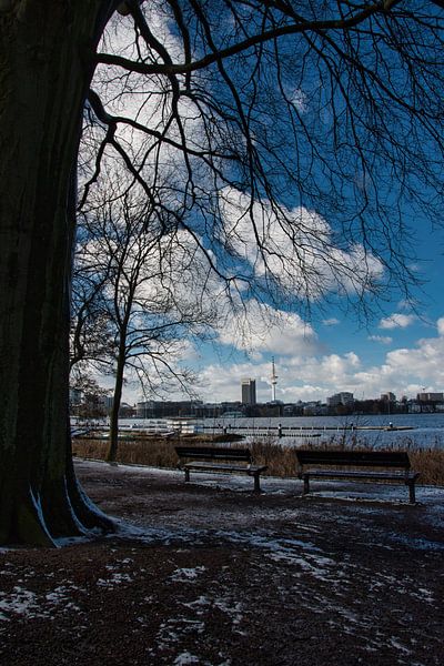 De laatste sneeuw. van Elbkind89