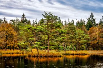 Freulevijver Wijnjewoude