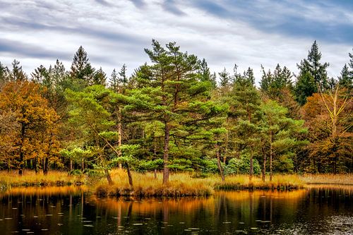 Freulevijver Wijnjewoude