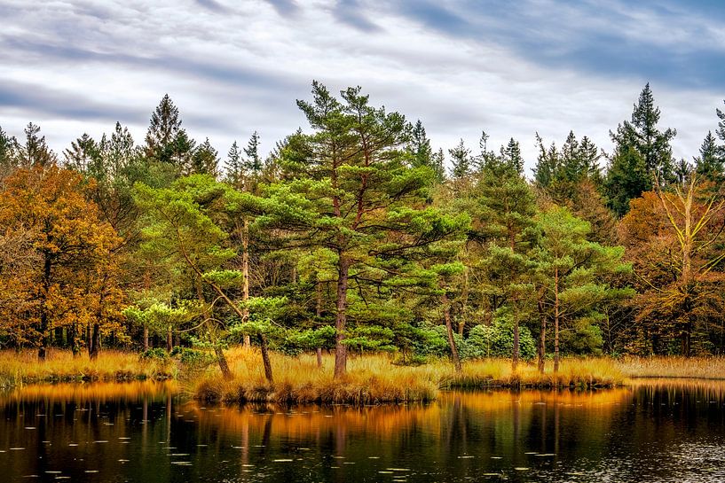 Freulevijver Wijnjewoude von R Smallenbroek