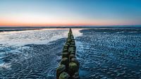 Buhne op het strand van Norderney van Steffen Peters thumbnail