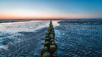 Buhne op het strand van Norderney van Steffen Peters