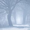 Dromerige Winterochtend in Heeswijk van Zwoele Plaatjes