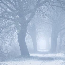Verträumter Wintermorgen in Heeswijk von Zwoele Plaatjes