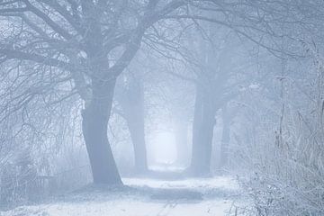 Dromerige Winterochtend in Heeswijk van Zwoele Plaatjes
