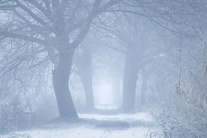 Dromerige Winterochtend in Heeswijk van Zwoele Plaatjes
