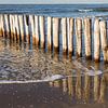 wooden breakwater at coast Cadzand-bad - no. 2 by Arnoud Kunst