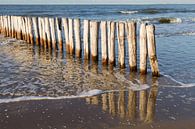 wooden breakwater at coast Cadzand-bad - no. 2 by Arnoud Kunst thumbnail