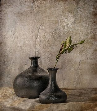 Black Vases van Vera Kämpfe