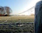 Winterlandschap von Joke te Grotenhuis Miniaturansicht