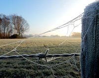 Winterlandschap