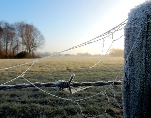 Winterlandschap