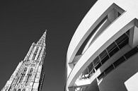 Ulm Minster en het stadhuis in Ulm - Monochroom van Werner Dieterich thumbnail