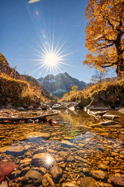 Big Maple Mountain by Einhorn Fotografie