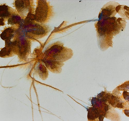 Libre circulation sur RAR KRAMER - Visual poet