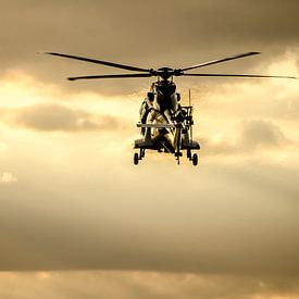 A Cougar transport helicopter in the evening sun above Brabant by Floris Oosterveld