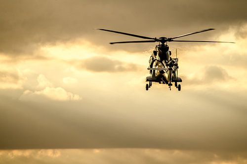 A Cougar transport helicopter in the evening sun above Brabant by Floris Oosterveld