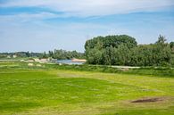 Green meadows round the old Durme river by Werner Lerooy thumbnail