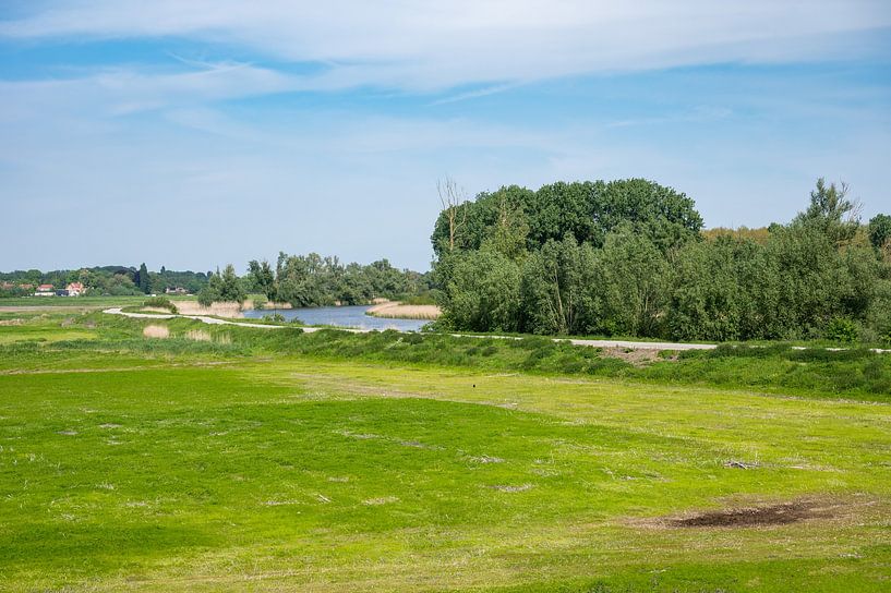 Green meadows round the old Durme river by Werner Lerooy