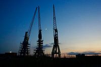 Three cranes by moonlight