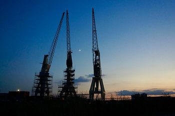 Trois grues au clair de lune