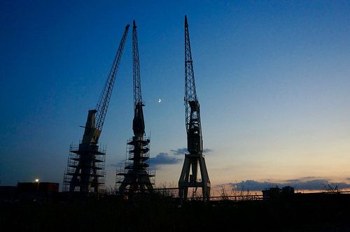Trois grues au clair de lune