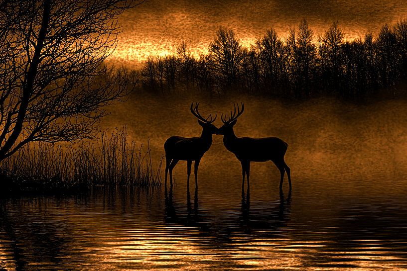 Cerf au lever du soleil orange par Art & Soul Creations