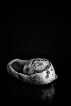 Die Reste: Kartoffel von André Blom Fotografie Utrecht