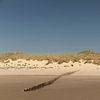 Diep blauwe lucht en strandpalen in de duinen op Ameland van Karijn | Fine art Natuur en Reis Fotografie