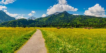 Alpine meadow near Oberstdorf by Walter G. Allgöwer
