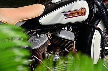 Harley Davidson WLA 750 - Pic02 sur Ingo Laue
