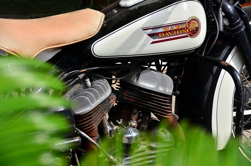 Harley Davidson WLA 750 - Pic02 par Ingo Laue