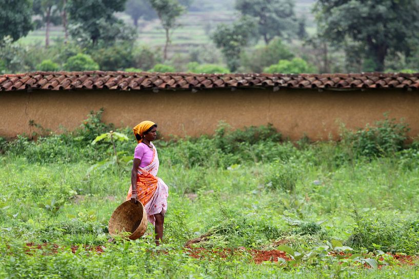 indische Frau von Cora Unk
