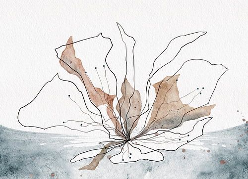 Splash Fantasy in the water