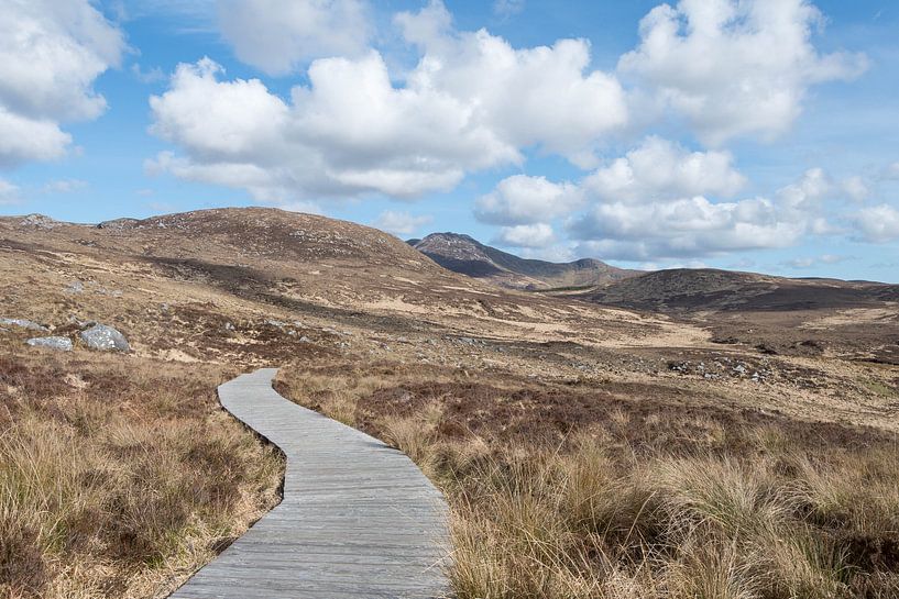 Nat. Park Glenveagh, Ierland van Daniel Van der Brug