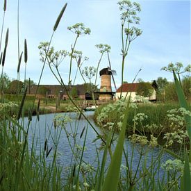 Kilsdonkse molen aan de Aa van Mieke van Helvoirt