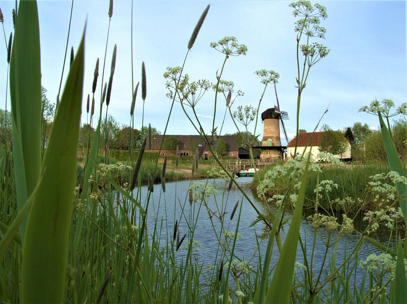 Kilsdonk mill on the river Aa by Mieke van Helvoirt