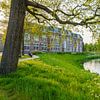 Oud schoolgebouw in Zwolle Overijssel met boom op de voorgrond van Bart Ros