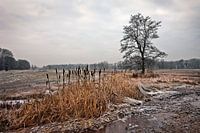 Winter, Niederlande