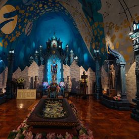 Hemel der goden: Mystieke Boeddha in het bladerdak van de sterren van NZME Photography