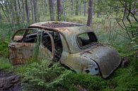 Auto kerkhof in bos in Ryd, Zweden van Joost Adriaanse thumbnail