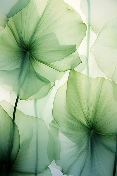 Flowerdance Botanica by Preet Lambon