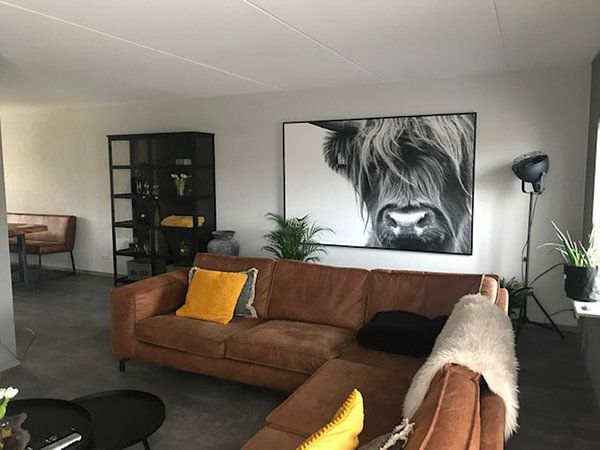 Customer photo: Portrait Scottish Highlander black and white by Sandra van Kampen, on canvas